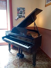 Pianoforte Petrof 1/2 coda