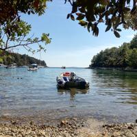 Gommone Honwave T40+ motore Honda 20CV +carrello
