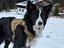 Immagine 5