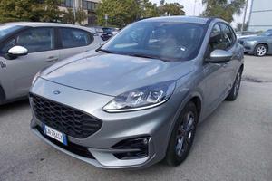 FORD Kuga 1.5 EcoBlue 120 CV aut. 2WD ST-Line