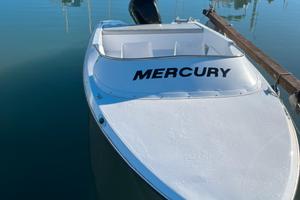 Lancino con mercury 115