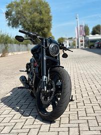 Harley-Davidson V-Rod Custom