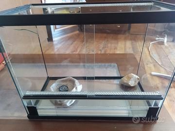 Teca terraio in vetro con porte scorrevoli 
