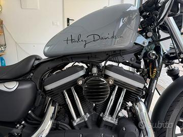 Harley-Davison Iron 883 - Stato eccellente