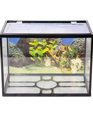 Aqpet one acquario