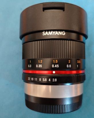 Samyang 8 mm f 2.8 fisheye