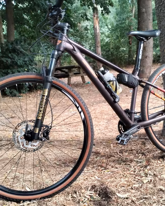 MTB 29(anche permuta con bici da corsa) 
