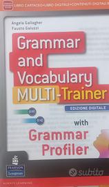 Grammar and vocabulary multitrainer.