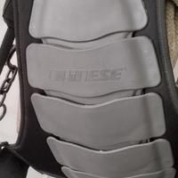 Paraschiena per moto