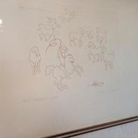 cavalli barocchi Renzo Sommaruga