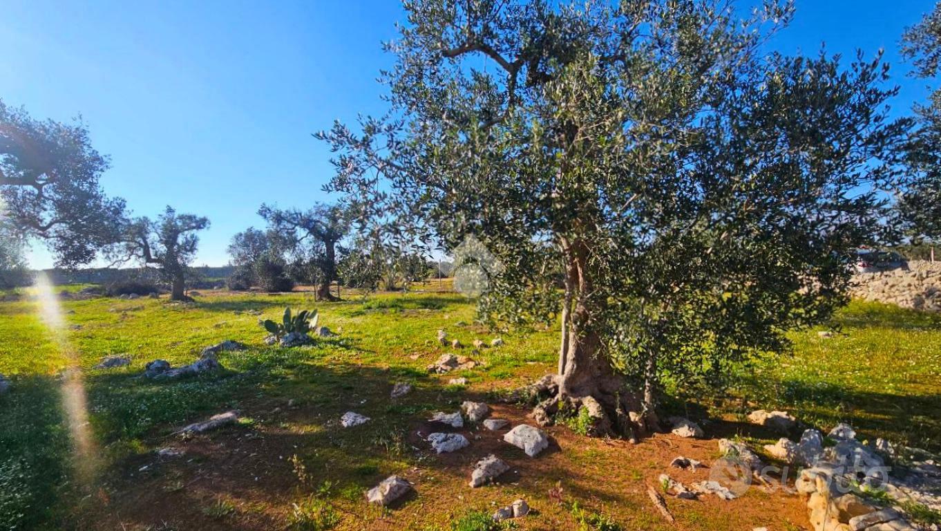 TER. AGRICOLO A NARDÒ - Vista 4