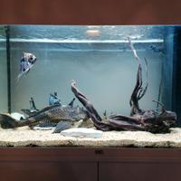 Acquario Rio 125 litri juwel