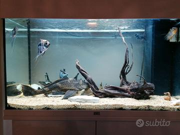 Acquario Rio 125 litri juwel