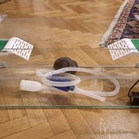 Set grande per tartaruga d’acqua