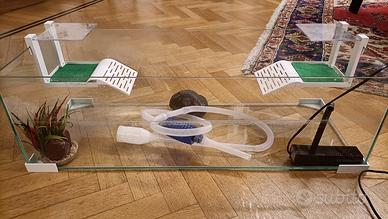 Set grande per tartaruga d’acqua