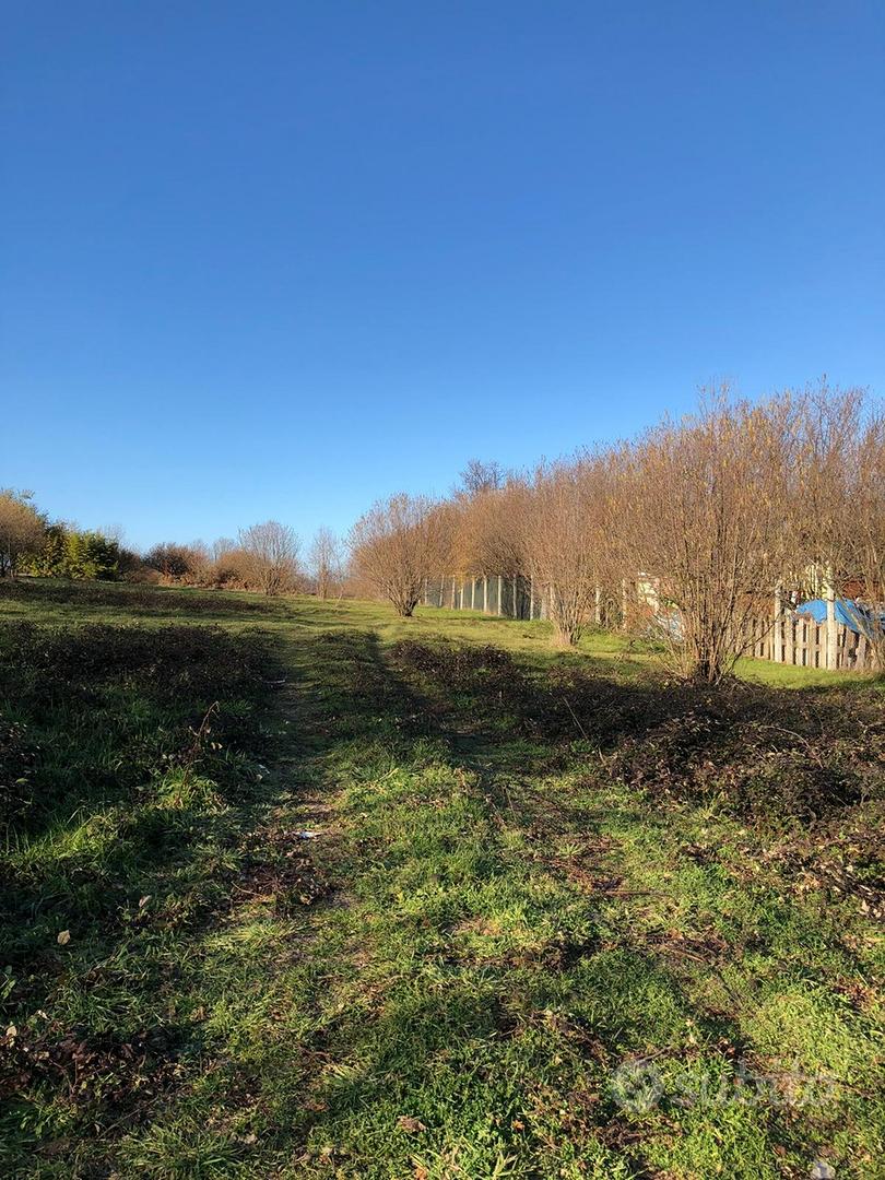 Palestrina - - Carchitti; Vendita Terreno - Vista 2