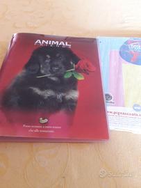 raccoglitore ad anelli con fogli