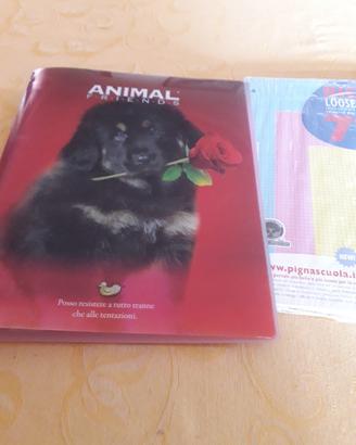 raccoglitore ad anelli con fogli