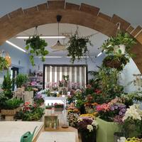 Spazioso luminoso negozio fiori storico centro