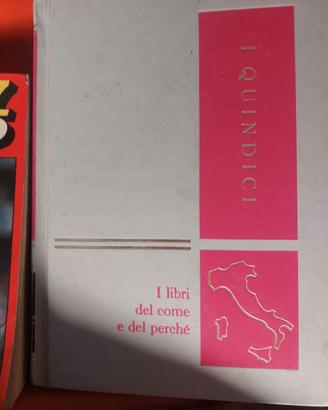 I quindici