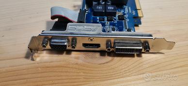 Scheda Video ASUS NVIDIA GeForce 210 1GB DDR3