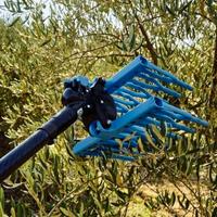 abbacchiatore tuono evo 