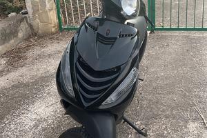Zip sp 2007