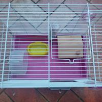 gabbia per criceti 