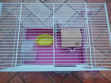 gabbia per criceti 