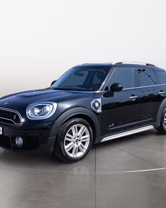MINI Mini Countryman 1.5 Cooper SE all4 auto