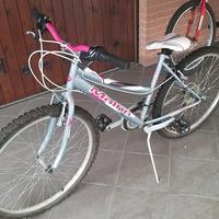 biciclette bimba
