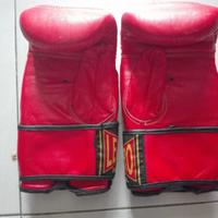 Guanti da Boxe e da Sacco