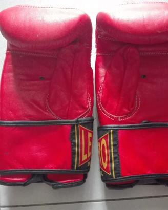 Guanti da Boxe e da Sacco