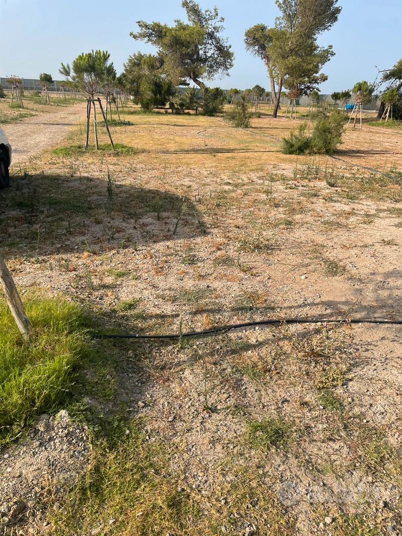 Terreno al mare - Vista 3