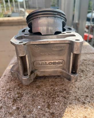 Gruppo termico MALOSSI beverly 125
