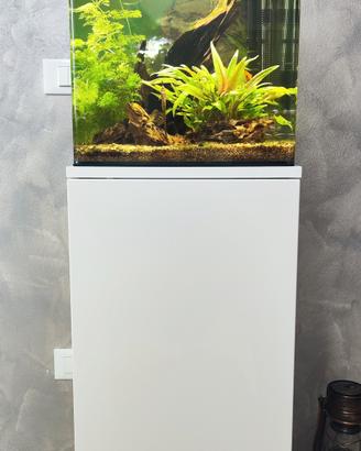 Acquario Amtra Nanotank System 60 con mobiletto
