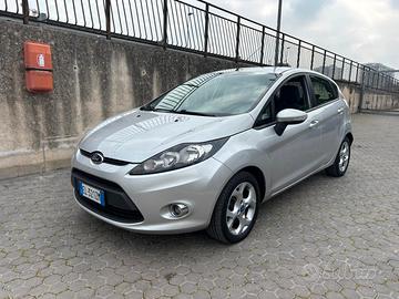 Ford Fiesta Ikon 1.4 TDCi 70CV 5p. Business