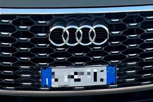Griglia sportiva a nido d’ape audi q3 f3