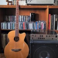 basso acustico elettrificato Jim Harley 