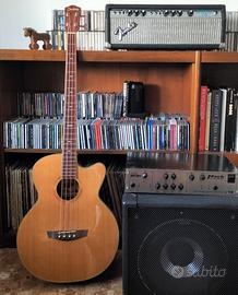 basso acustico elettrificato Jim Harley 