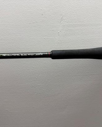Canna  Xzoga