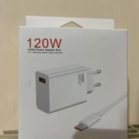 Caricabatteria rapido 120