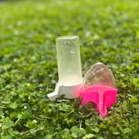 Abbeveratoi per uccellini