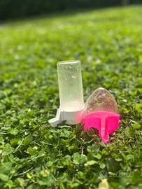 Abbeveratoi per uccellini