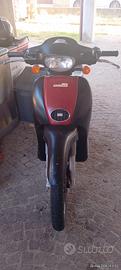 scarabeo 50 2t 