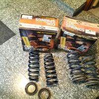 Molle per Mitsubishi Pajero V60 rialzo OME