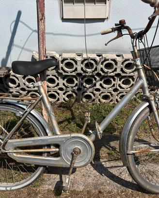Bicicletta tipo graziella