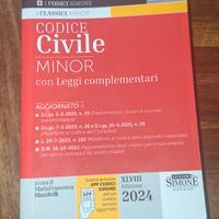 codice civile 2024 MINOR con leggi complementari