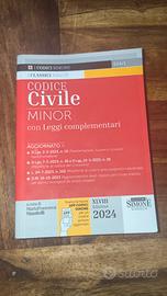 codice civile 2024 MINOR con leggi complementari