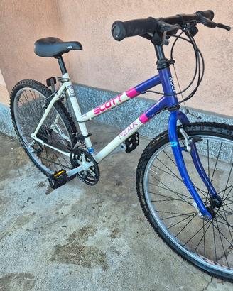 Bicicletta mountain bik